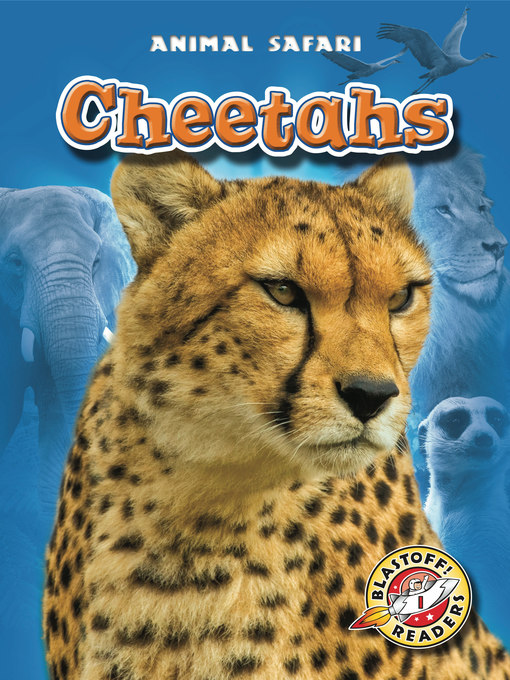 Title details for Cheetahs by Dana Fleming - Available